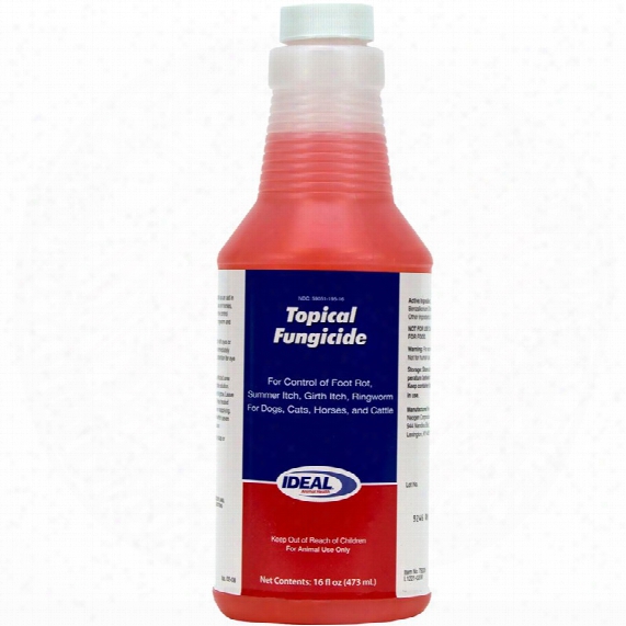 Topical Fungicide (16 Oz)