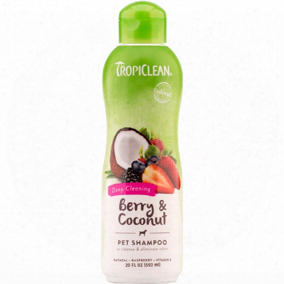 Tropiclean Deep Cleaning Berry & Coconut Shampoo (20 Fl Oz)