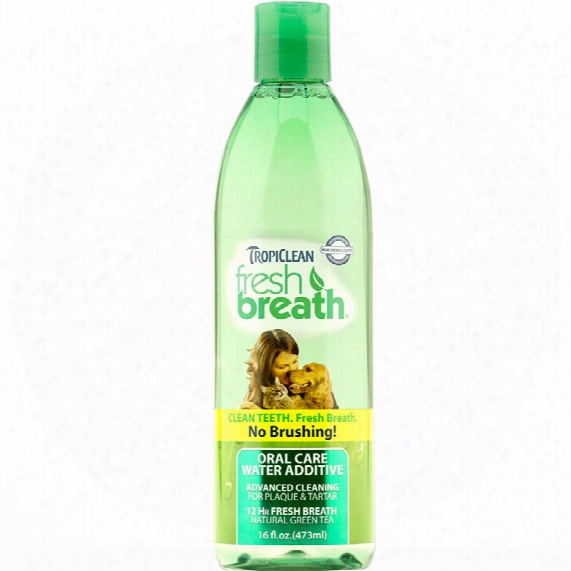Tropiclean Fresh Breath Oral Care Water Additive (16 Oz)