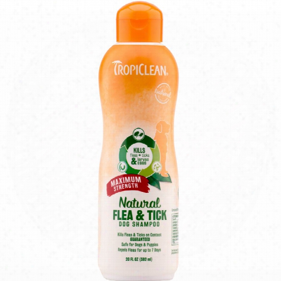 Tropiclean Natural Flea & Tick Shampoo Maximum Strength (20 Oz)
