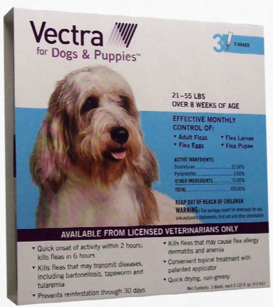 Vectra For Dogs 21 To 55 Lbs - 3 Doses