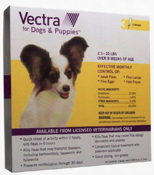 Vectra For Dogs & Puppies 2.5-10 Lbs - 3 Doses