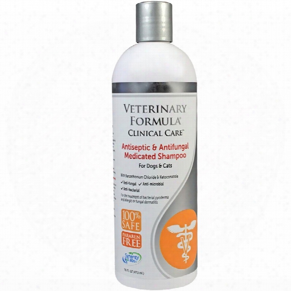Veterinary Ofrmula Clinical Care Antiseptic & Antifungal Medicated Shampoo (16 Fl Oz)