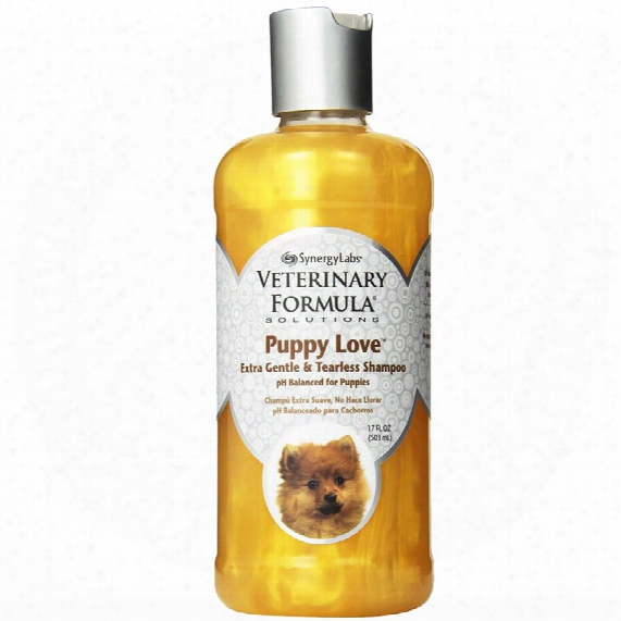 Veterinary Formula Puppy Love Extra Gentle & Tearless Shampoo (17 Fl Oz)