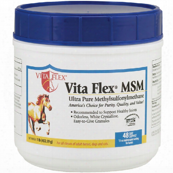 Vita Flex Msm (1 Lb)