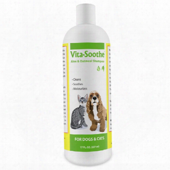 Vita-soothe Aloe & Oatmeal Shampoo (17 Fl Oz)