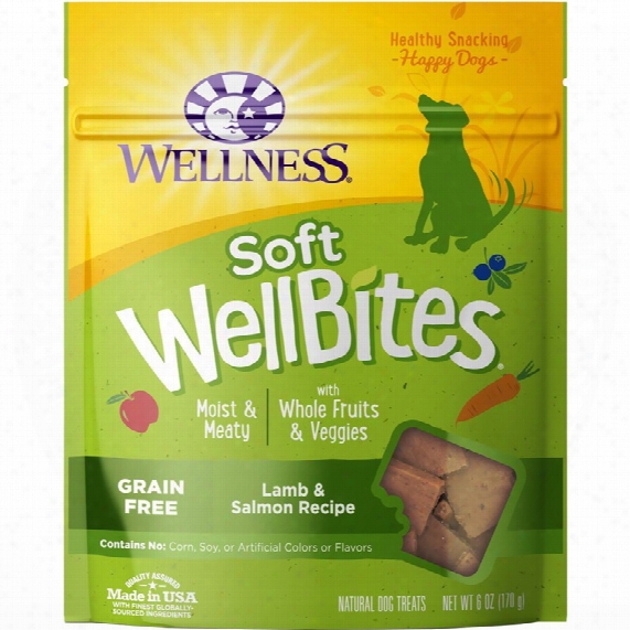 Wellness Soft Wellbites Lamb & Salmon Dog Treats (6 Oz)