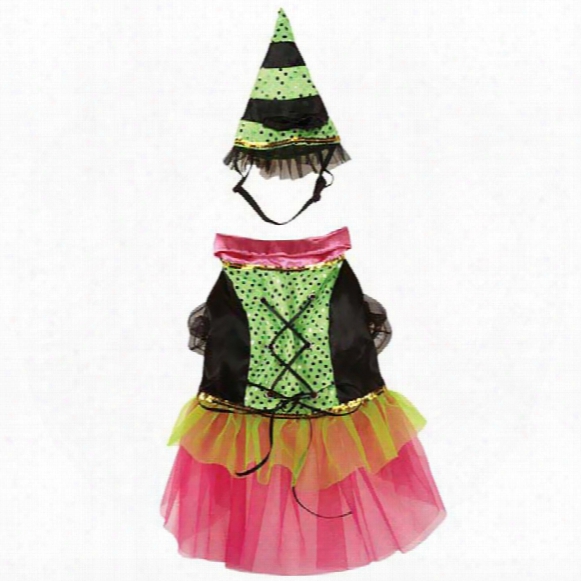 Zack & Zoey Witchy Business Costume Green - Small