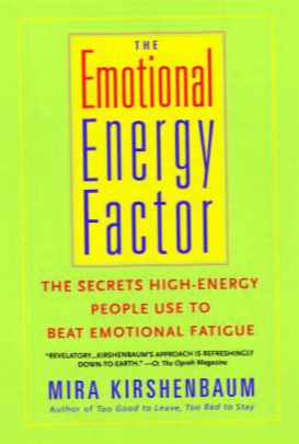 The Emotional Energy Factor: The Secrets High-energy People Use To Beat Emotional Fatigue