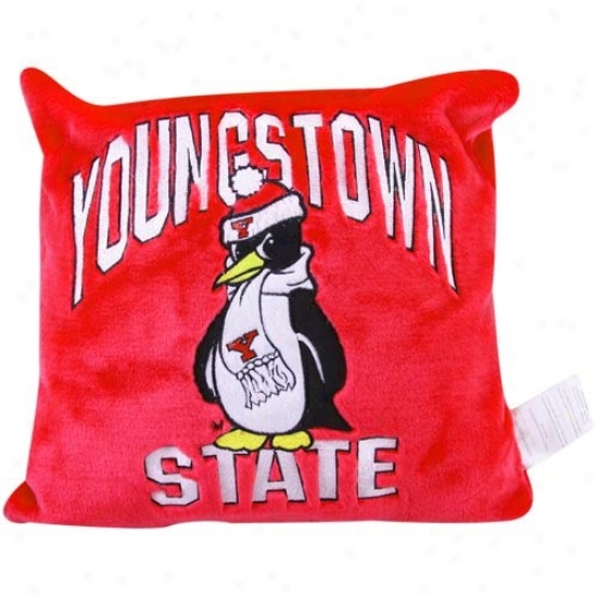 Youngstown State Penguins Red 15'' Square 3d Plush Pillow