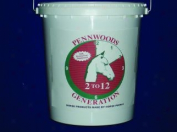 2 To 12 Foal Supplement - 22 Pound