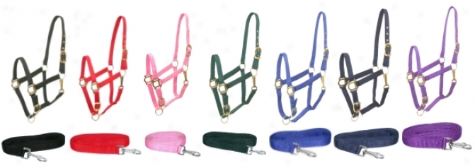 6 Pack - 3 Gatsby Leads & 3 Gatsby Adjustable Nylon Halters With Snap