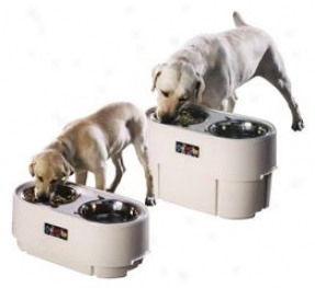 Adjustable Heught Store N Feed For Dogs - 2 Quart Bowls