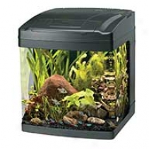 Bio Cube Aquarium - 8 Gallon