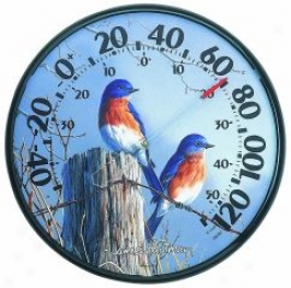 Bluebird Garden Thermometer - 12. 5 Inch