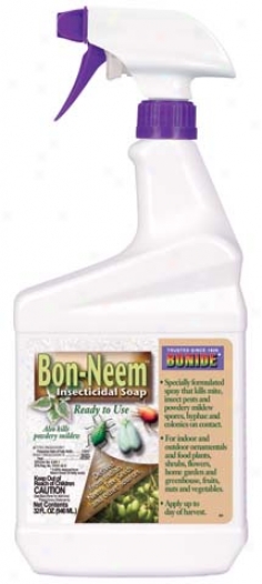 Bon-neem Concentrate Pest Control For House Plants - 32 Oz