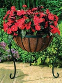 Canterbury Plant Basker Stand - Black - 15 Inch