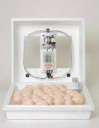 Circulated Air Incubator With Fan For Bird Eggs - Of a ~ color