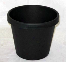 Classic Pot For Planting - Evergreen - 8 Inch