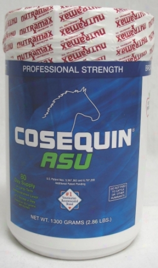 Cosequin Asu Powder - 1300 Grams