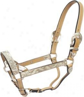 Cowboy Pro Leather Show Halter With Silver