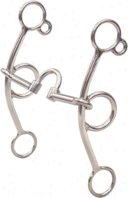 Darnall Connie Combs Sm Correction Gag Bit - Stainless Steel - 5