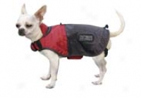 Dog Rain Jacket - Assorted - Extra Small