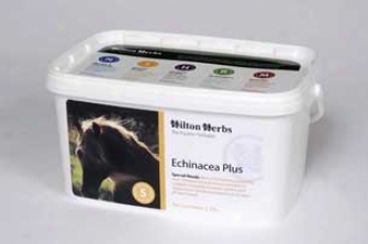 Echinacea More For Horses - 2.2 Pound