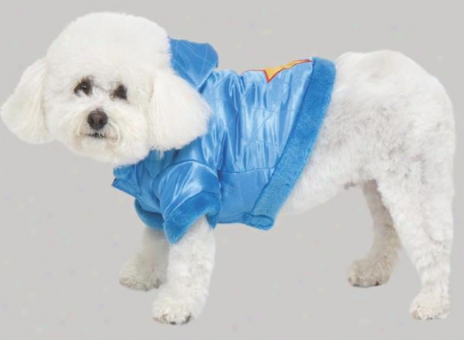 Fashion Pet Quilted Super Star Dog Parka