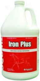 Finis hLine Iron Plus Supply Supplement - Gallon