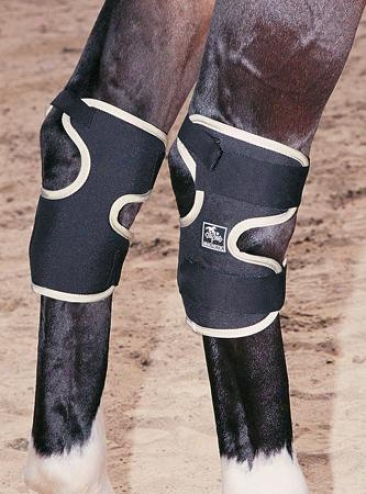 Flex Rider Magnetic Horse Boots - Hock Wraps - Pair - Black - Hosre