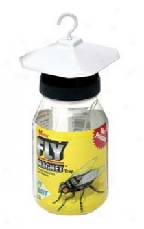 Fly Magnet With Bait For Outdoor Fly Control - Quart