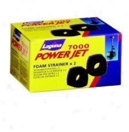 Foam Strainer For Powerjet Pumps - Black