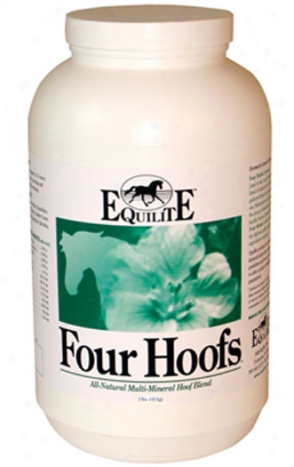 Four Hoofs
