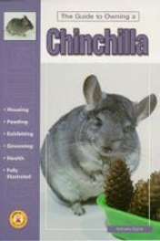 Guide To Owning A Chinchilla