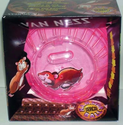 Hamster Lesson Ball - Assorted