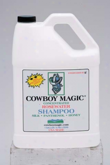 Horse Cleaner - Gallon