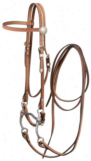 Horse Roughout Browband Bridle