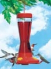 Hummingbird Feeder Capacity - Red - 16 Oz