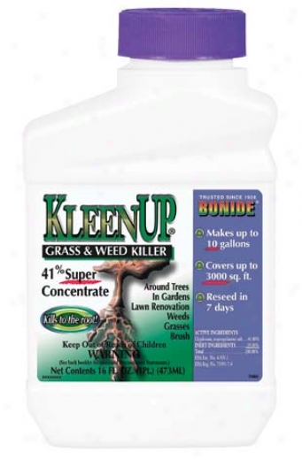 Kleenup 41% Concentrate Herbicide