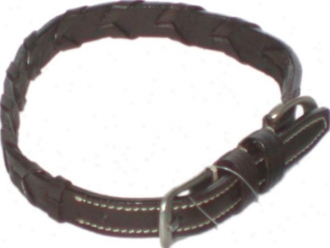 Laced Leather Dog Collar