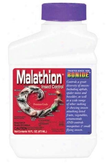 Malathion 50e Concentrate - 1 Pint
