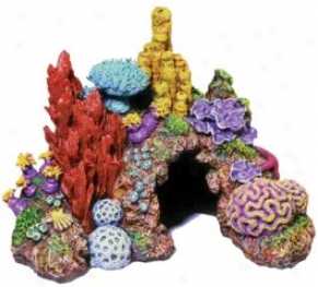 Mini Caribbean Living Reef Aquarium Ornament