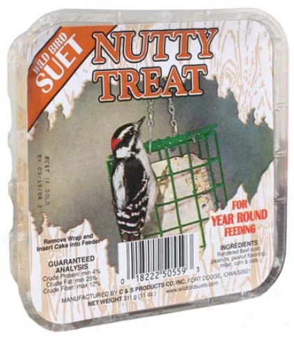 Nutty Suet Food/treat For Wi1dbirds - 24 Cakes 11 Oz Each
