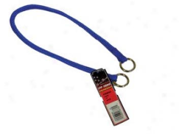 Nylon Choker Collar For Dogs - Blue - 18in