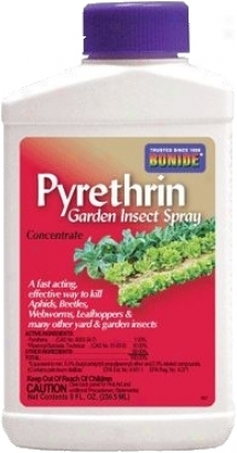 Pyrethrin Spray Conc - 1 Pint