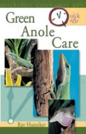 Quick And Easy Green Anole Guidebook