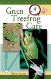 Quick And Easy Green Tree Frog Guidebook