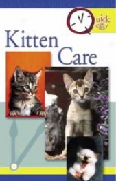 Quick And Easy Kitten Care Guidebook
