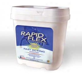 Rapid Flex United Supplement - 4 Pound